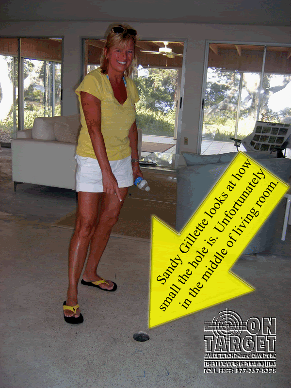 Sandy_Gillette.gif Leak located under living room floor image by OnTarget_01