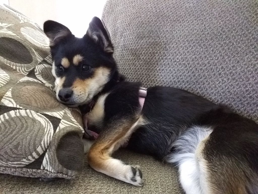 photo IMG_20160405_095555_zpshnf2zeyo.jpg