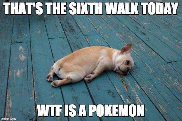 photo received_10209375359771580_zpsjaluufyt.jpeg