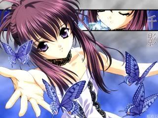 blue butterfly