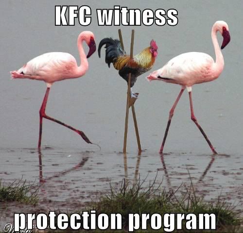 KFCwitnessProtection.jpg