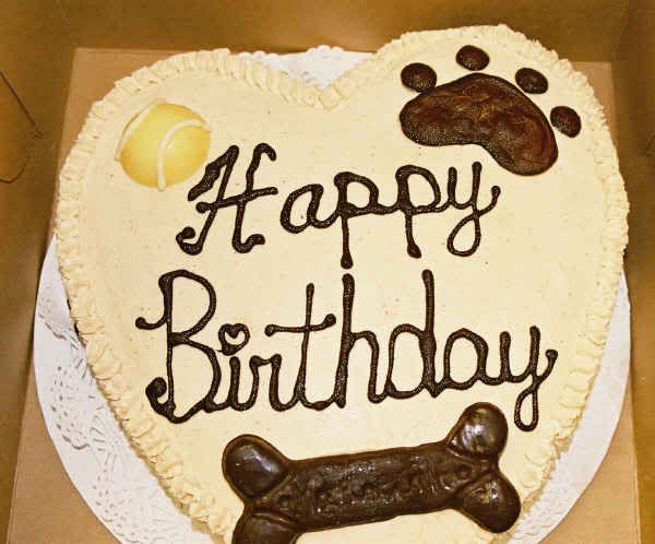 Birthday_cake_-_bentleys_barkery.jpg