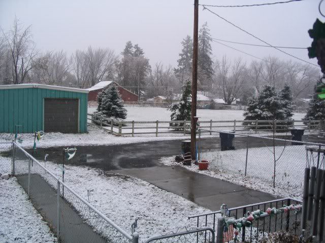 snow1.jpg