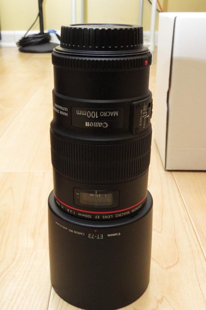 IMAGE: http://i44.photobucket.com/albums/f25/sidebdj/IMG_4623.jpg