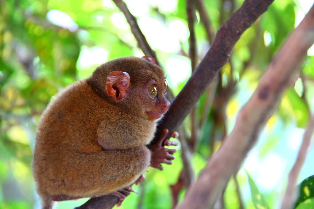 IMAGE: http://i44.photobucket.com/albums/f25/sidebdj/IMG_6708.jpg