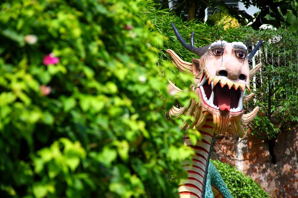 IMAGE: http://i44.photobucket.com/albums/f25/sidebdj/IMG_6799.jpg