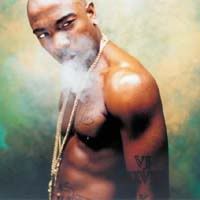 ja rule Pictures, Images and Photos