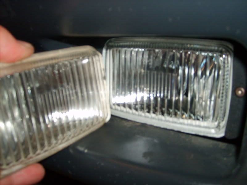 S5000155.jpg