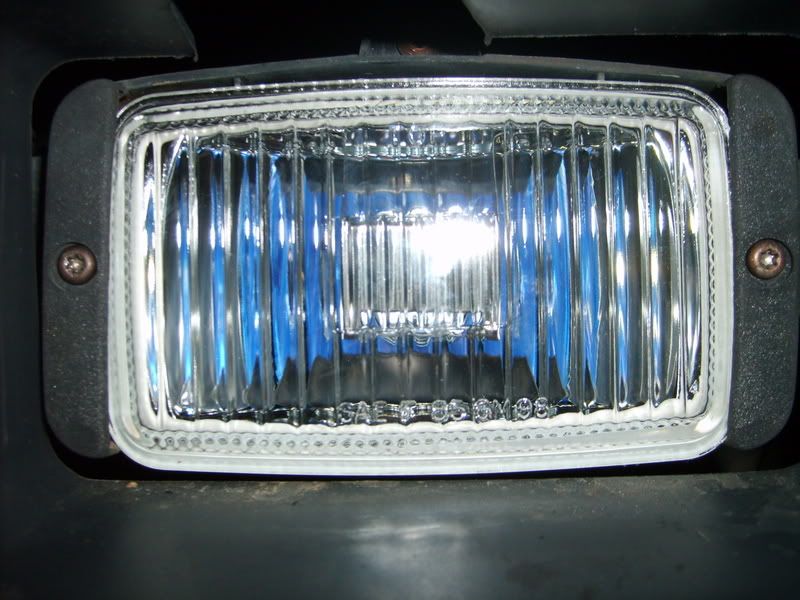 S5000157.jpg