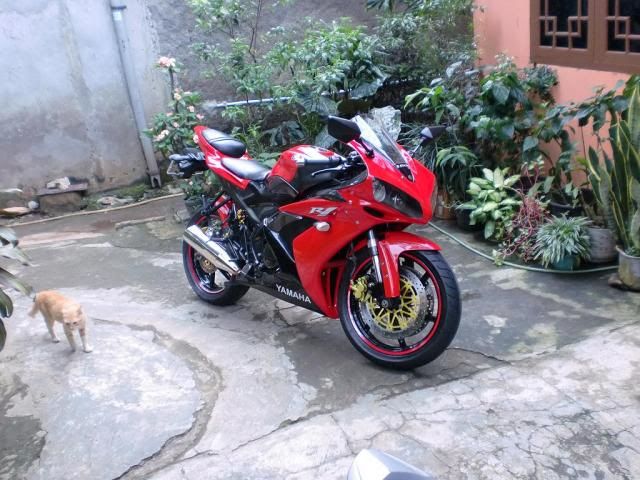 Foto Yamaha Scorpio Drag Foto Yamaha Scorpio Drag