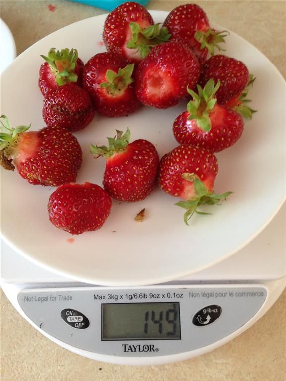  photo Albion_zps04a776d1.jpg