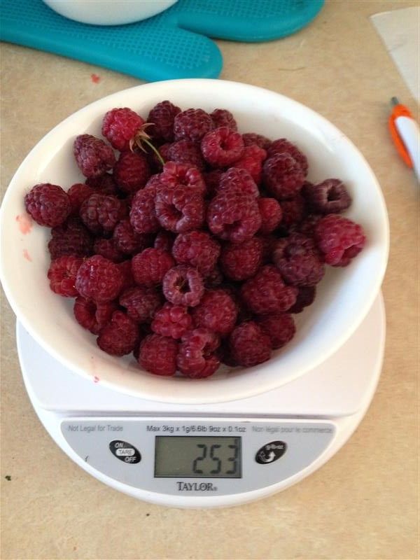  photo Blackraspberry_zpse9ff4254.jpg