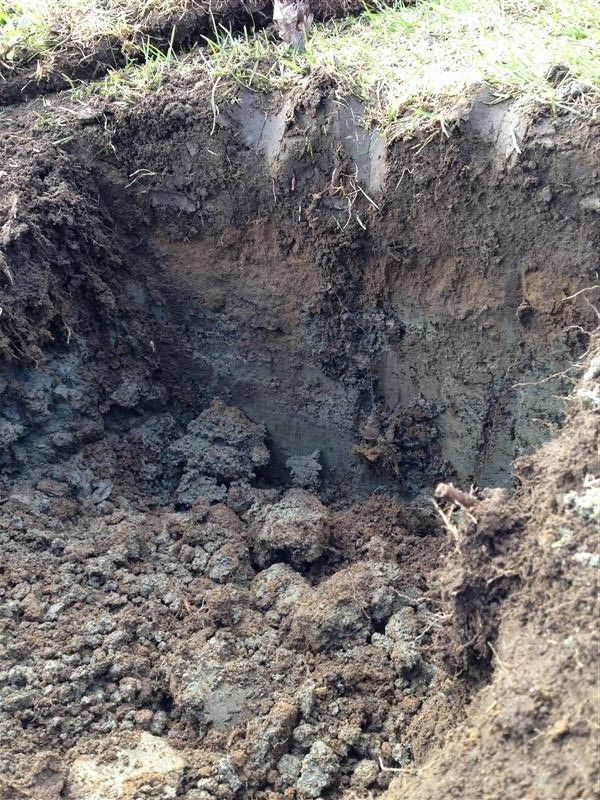  photo ClaySoil_zps7c7ced9a.jpg