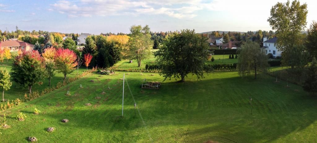  photo Fallbackyard_zps19f0c55d.jpg