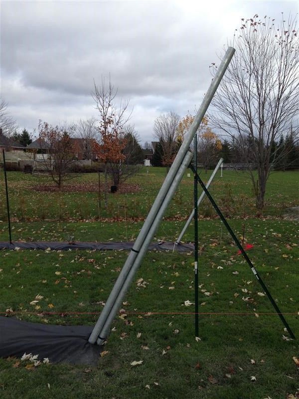  photo Grapetrellisendpost_zpsb88bb730.jpg