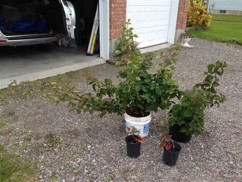  photo Primearc45_zps877687c2.jpg