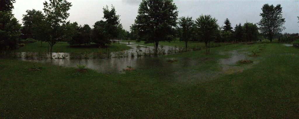  photo Standingwater2_zpsbdb624bd.jpg