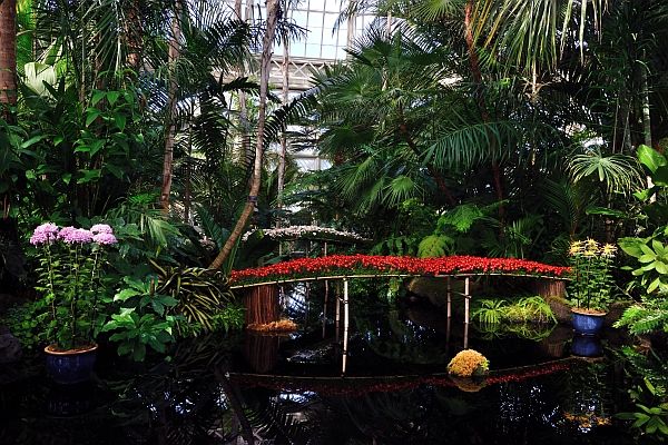 Bridges in the Palm Court