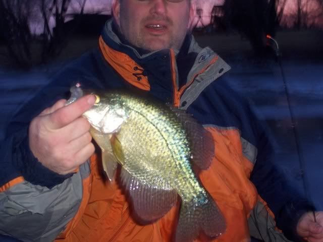 [Image: CRAPPIES011.jpg]