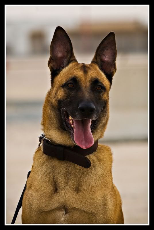 IMAGE: http://i44.photobucket.com/albums/f28/jberlotti/IMG_8545-Edit.jpg