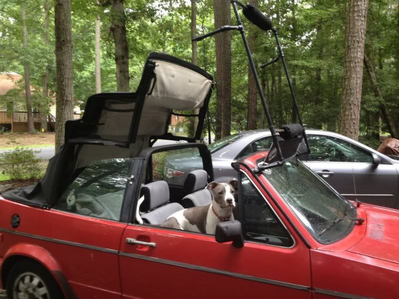 Just finished Cabriolet roof rack Page 3 VW Vortex Volkswagen Forum