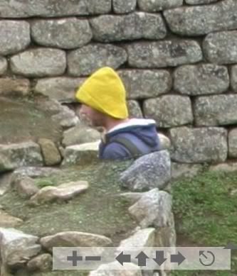 Walking Head