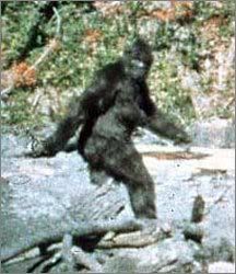 Bigfoot.jpg