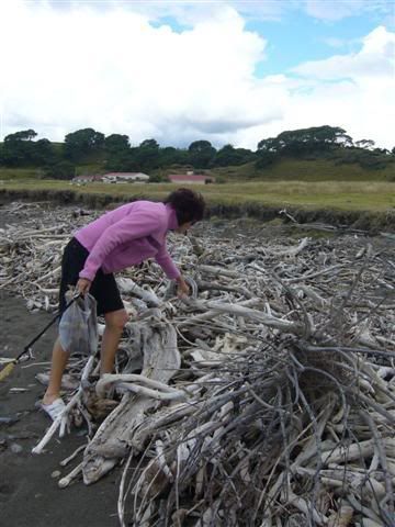 Driftwoodbeach2Small.jpg