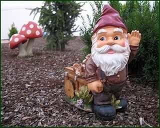 gnome