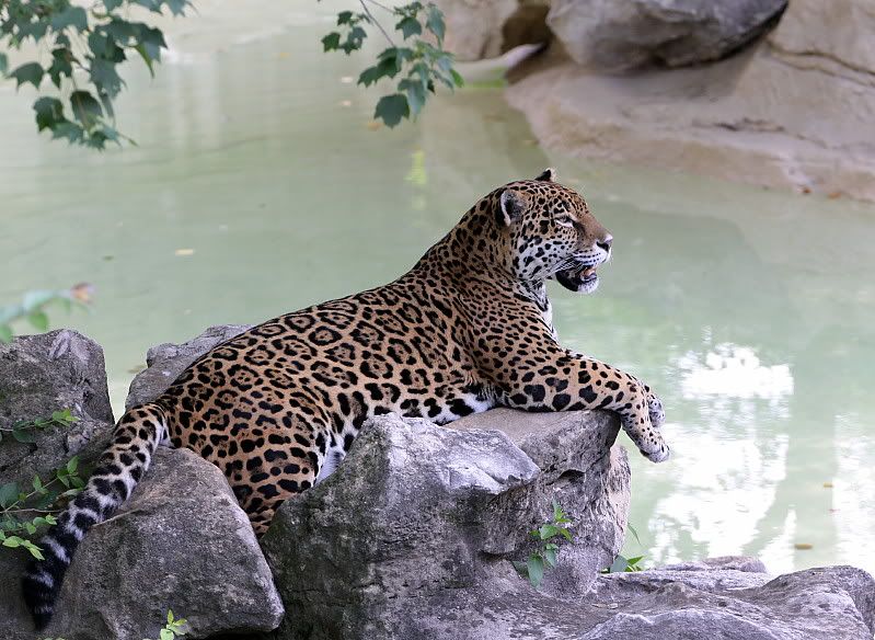 IMAGE: http://i44.photobucket.com/albums/f31/Edd_S/chillin.jpg