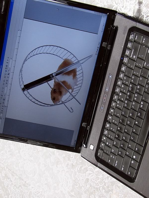 IMAGE: http://i44.photobucket.com/albums/f31/Edd_S/computer2.jpg