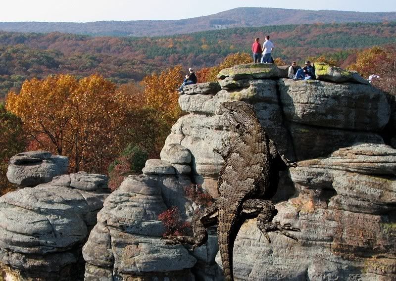 IMAGE: http://i44.photobucket.com/albums/f31/Edd_S/illusion_b.jpg