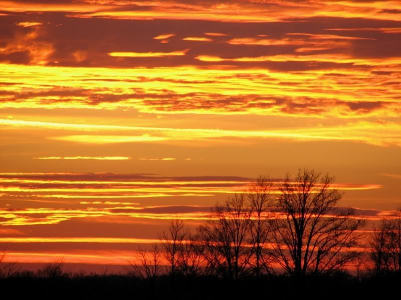 IMAGE: http://i44.photobucket.com/albums/f31/Edd_S/sky.jpg