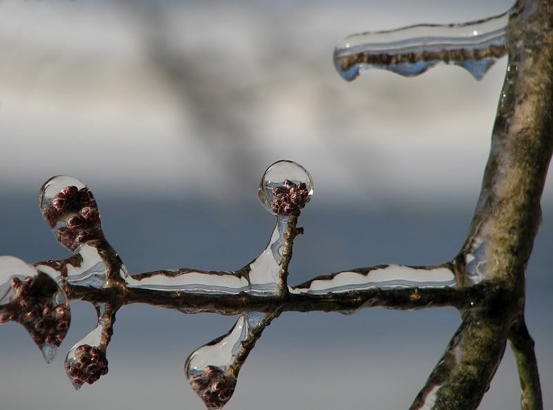 IMAGE: http://i44.photobucket.com/albums/f31/Edd_S/spring1.jpg