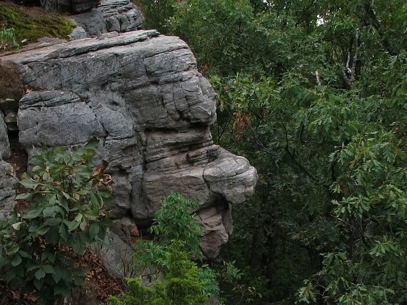 IMAGE: http://i44.photobucket.com/albums/f31/Edd_S/stoneface5.jpg