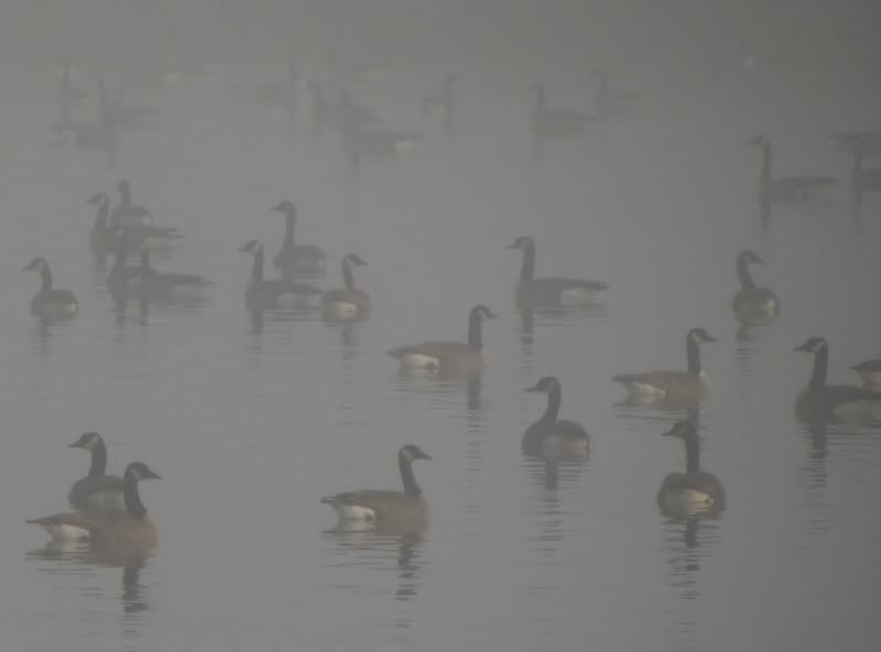 IMAGE: http://i44.photobucket.com/albums/f31/Edd_S/weather1.jpg