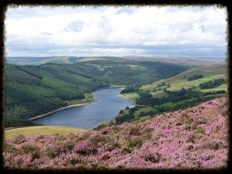  photo 8a2b1365-1e78-4d3d-9a28-879ec59784d0_zps7699db37.jpg