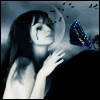 butterflies.gif Butterfly icon image by puppetdancer