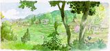 Historia de Hayao Miyazaki + muchas imagenes
