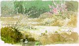 hayao miyazaki estudio ghibli se
