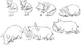 hayao miyazaki estudio ghibli se
