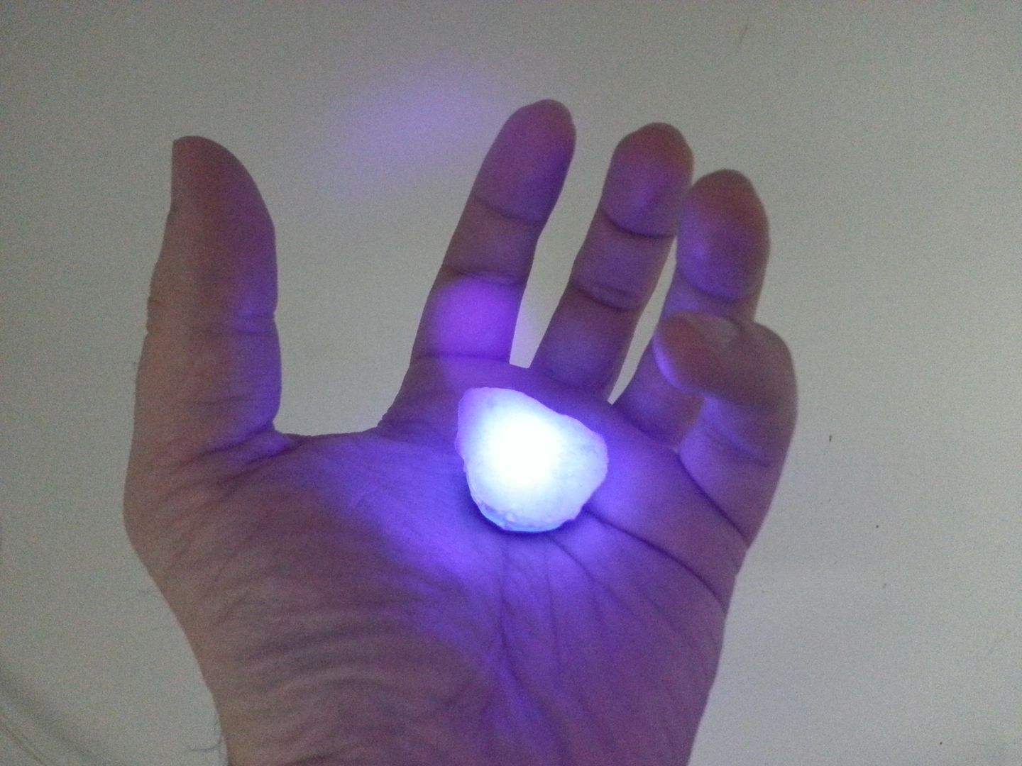 20141028_125615.jpg
