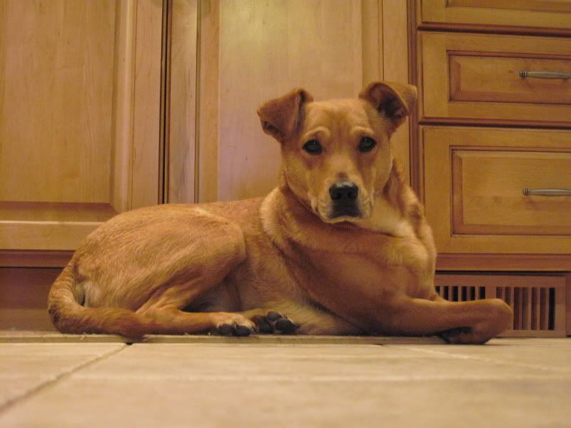 IMAGE: http://i44.photobucket.com/albums/f33/msegens/IMG_0504.jpg