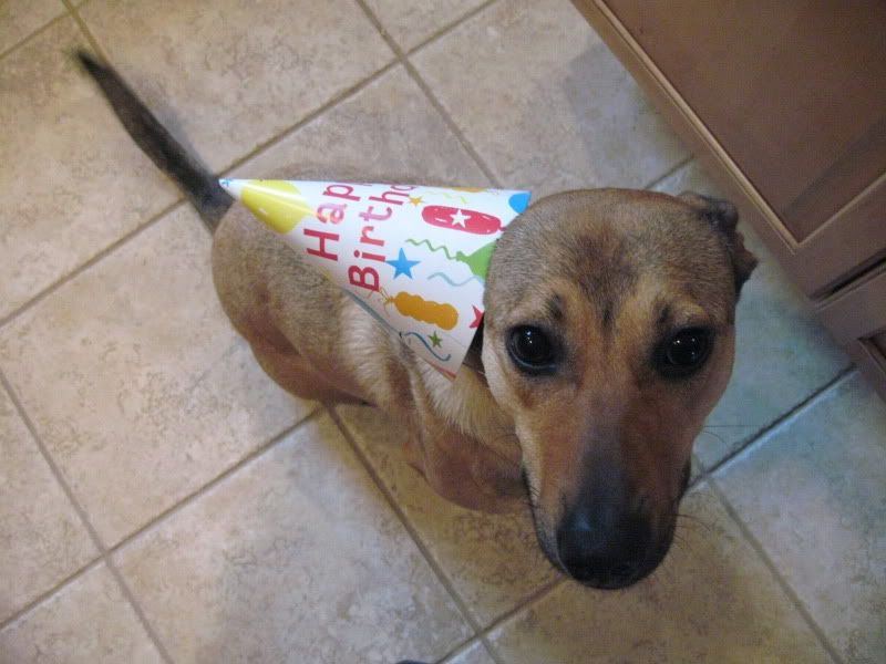 IMAGE: http://i44.photobucket.com/albums/f33/msegens/IMG_0507.jpg