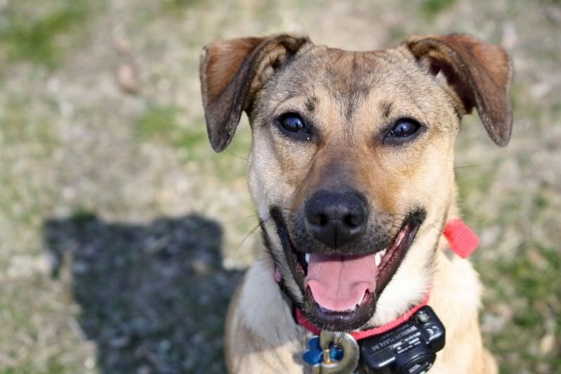 IMAGE: http://i44.photobucket.com/albums/f33/msegens/Maya2-1.jpg