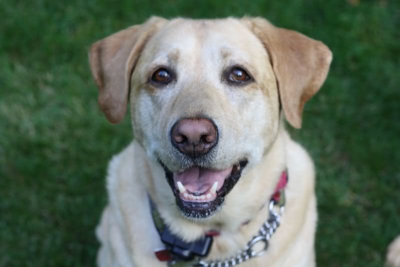 IMAGE: http://i44.photobucket.com/albums/f33/msegens/chloe2.jpg