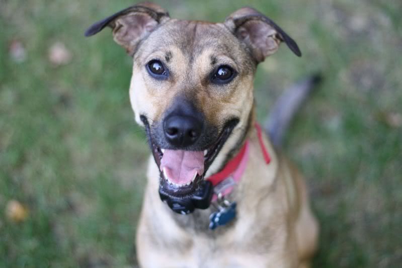 IMAGE: http://i44.photobucket.com/albums/f33/msegens/maya.jpg