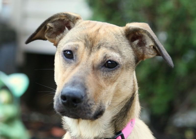 IMAGE: http://i44.photobucket.com/albums/f33/msegens/maya5.jpg