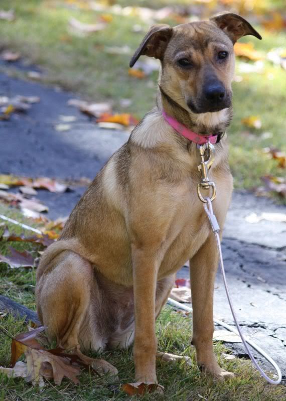 IMAGE: http://i44.photobucket.com/albums/f33/msegens/maya7.jpg