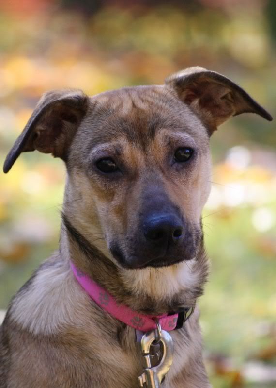 IMAGE: http://i44.photobucket.com/albums/f33/msegens/maya9.jpg